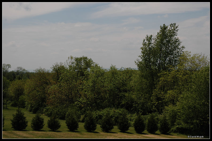 DSC_1989