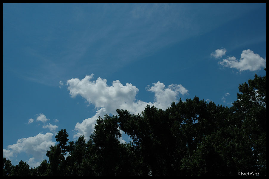DSC_5455