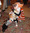 DSC00944