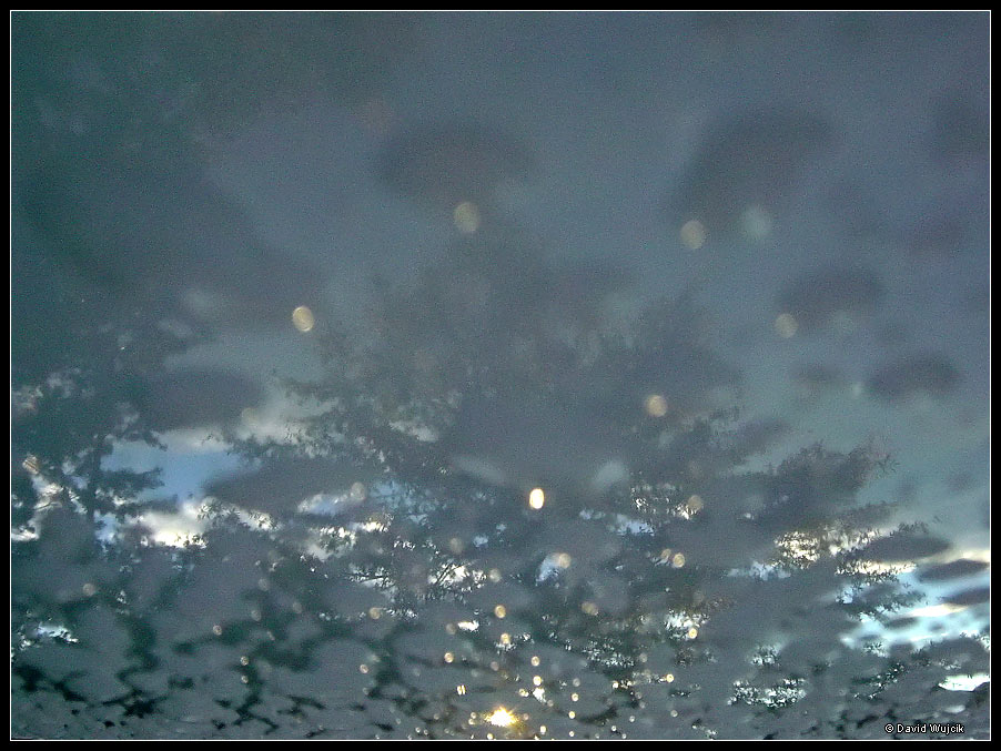 DSC04741