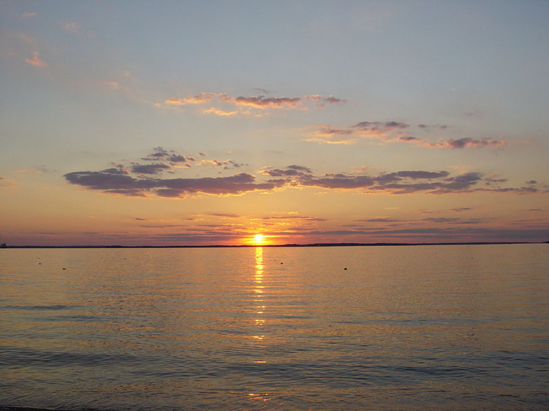 DSC00610