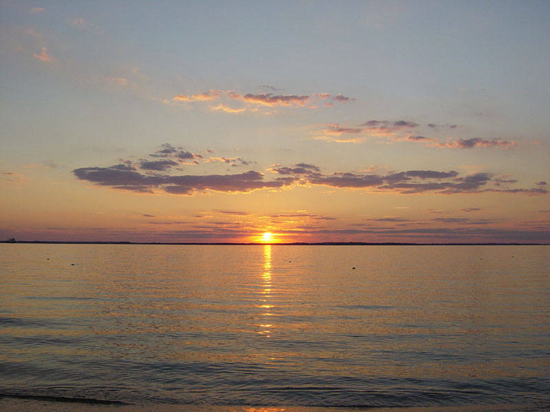 DSC00611