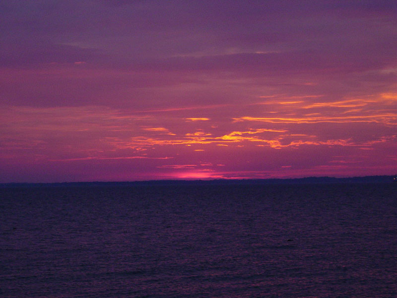 DSC00649