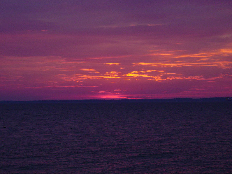 DSC00650