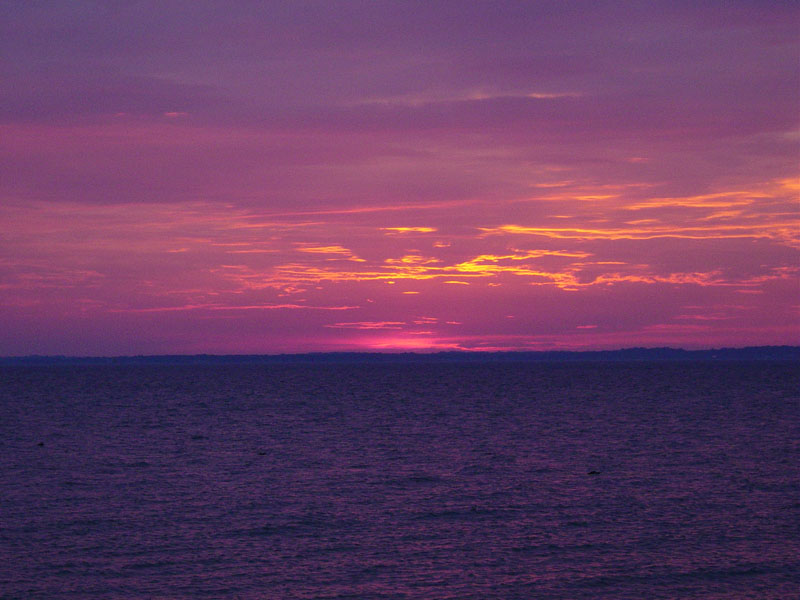 DSC00651