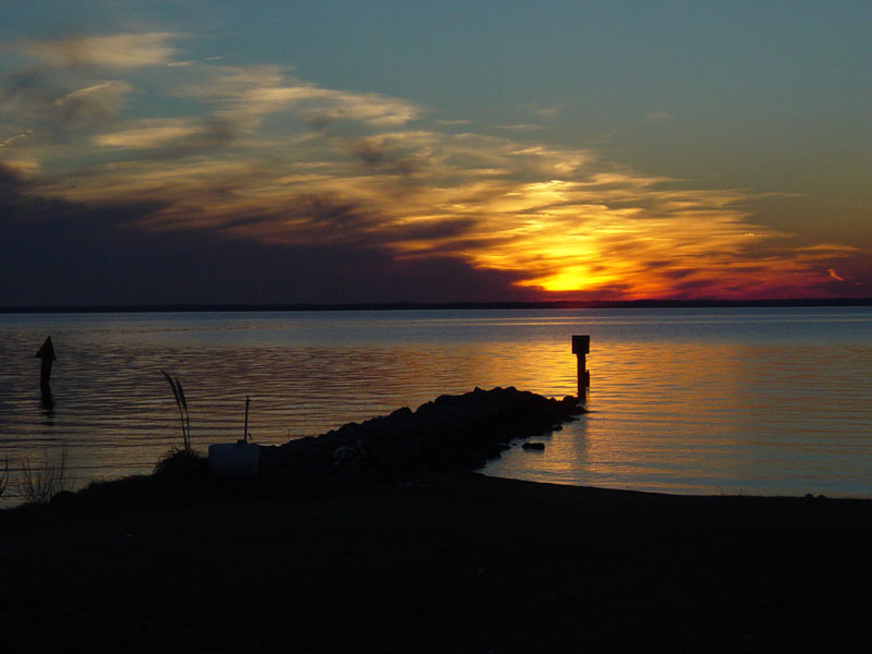 DSC01375